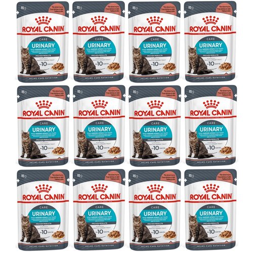 Karma dla kota ROYAL CANIN Urinary Care 12 x 85 g