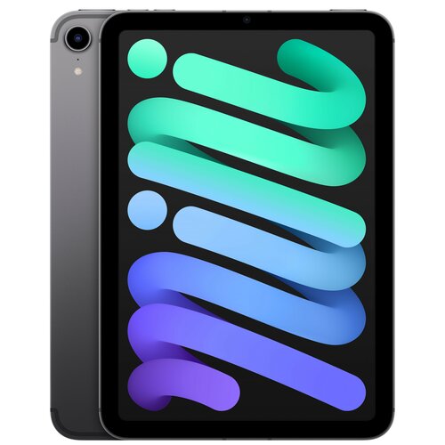 Tablet APPLE iPad mini 8.3" 6 gen. 256 GB 5G Wi-Fi Gwiezdna szarość