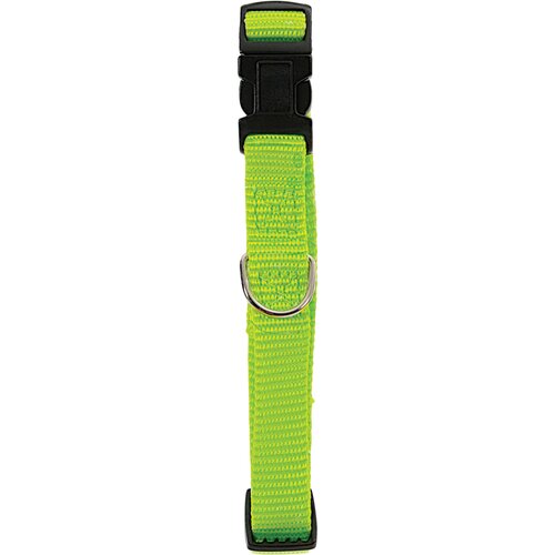 Obroża ZOLUX Nylon L (38 - 59 cm) Seledynowy