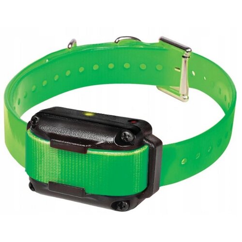 Obroża ZOLUX 487045 (18 - 48 cm) Zielony