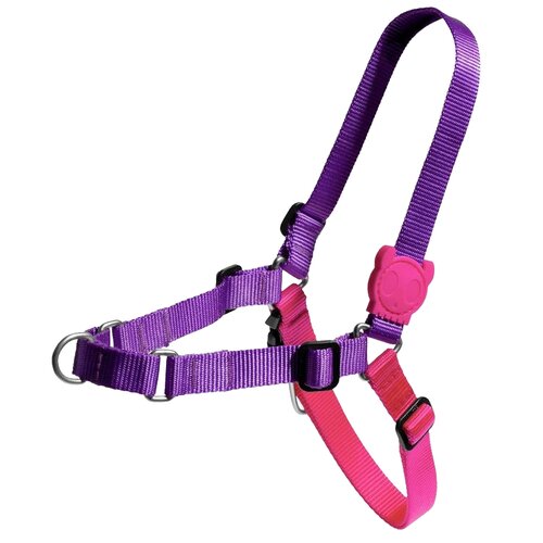 Szelki dla psa ZEE DOG Vega Soft-Walk M Fioletowo-różowy