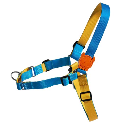 Szelki dla psa ZEE DOG Aziza Soft-Walk S Niebiesko-żółty