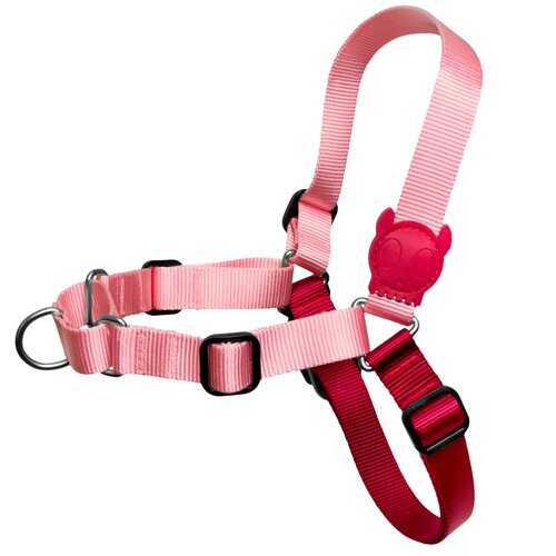 Szelki dla psa ZEE DOG Blink Soft-Walk M
