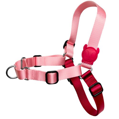 Szelki dla psa ZEE DOG Blink Soft-Walk L