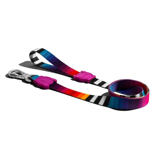 Smycz ZEE DOG Prisma L (120 x 2.5 cm)