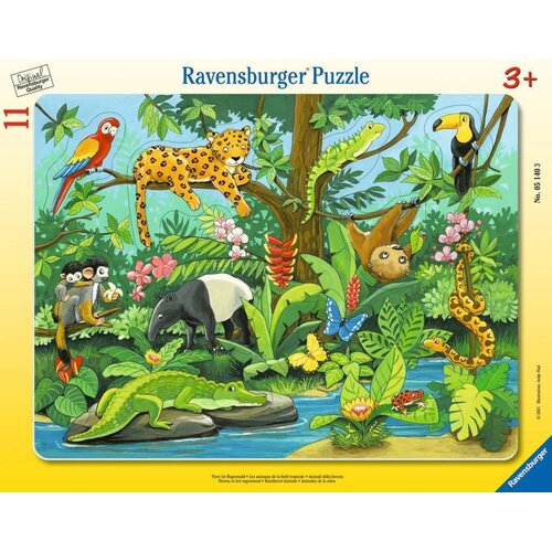 Puzzle RAVENSBURGER Co tu pasuje?: Zwierzęta lasu deszczowego 5140 (11 elementów)