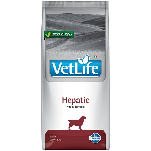 Karma dla psa FARMINA Vet Life Hepatic 2 kg