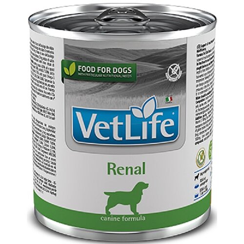 Karma dla psa FARMINA Vet Life Canine Renal 300 g