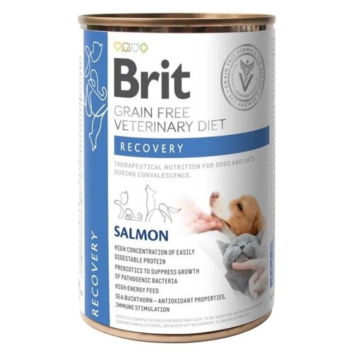 Karma dla psa BRIT Grain Free Veterinary Diets Dog & Cat Recovery Łosoś 400g