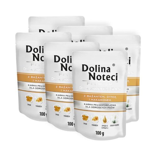Karma dla psa DOLINA NOTECI Premium z bażantem, dynią i makaronem 6 x 100 g
