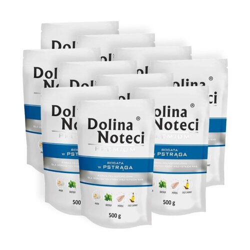 Karma dla psa DOLINA NOTECI Premium bogata w pstrąga 10 x 500 g