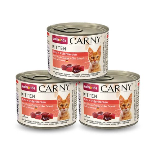 Karma dla kota ANIMONDA Carny Kitten Wołowina z indykiem 3 x 200 g