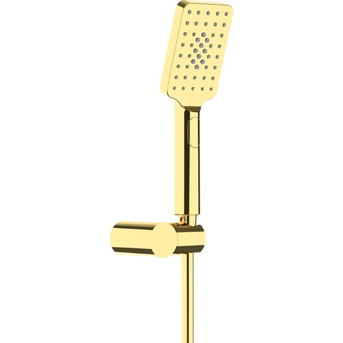 Zestaw prysznicowy punktowy natynkowy DEANTE Alpinia NGA Z41K Złoty