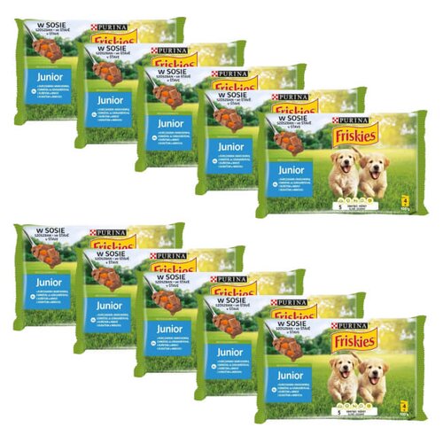 Karma dla psa FRISKIES Vitafit Junior Kurczak z marchewką (40 x 100 g)