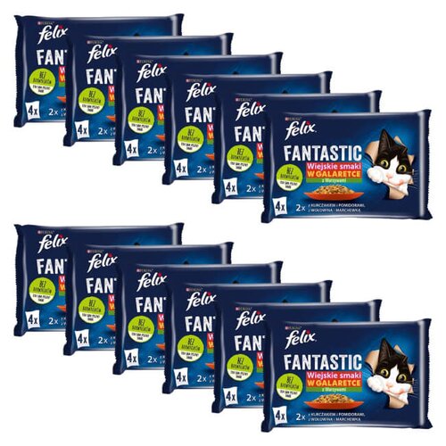 Karma dla kota FELIX Fantastic Wiejskie samki (48 x 85 g)