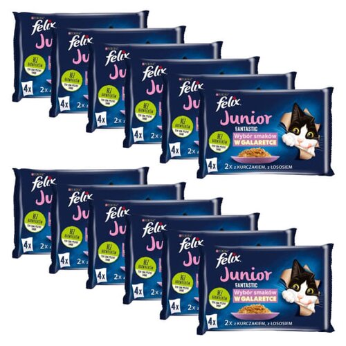Karma dla kota FELIX Fantastic Junior Fantastic Kurczak i Łosoś (48 x 85 g)