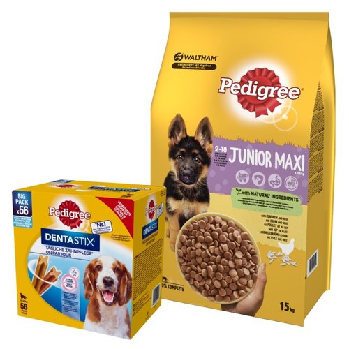 Pedigree maxi junior hot sale