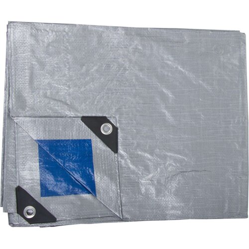Plandeka PROLINE 46461 (6 x 10 m)