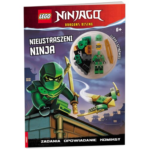 Książka LEGO NINJAGO Nieustraszeni Ninja LNC-6728