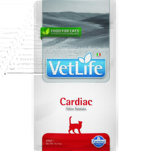 Karma dla kota FARMINA Vet Life Cat Cardiac 400 g