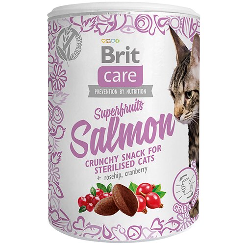 Przysmak dla kota BRIT CARE Snack Superfruits Salmon 100 g