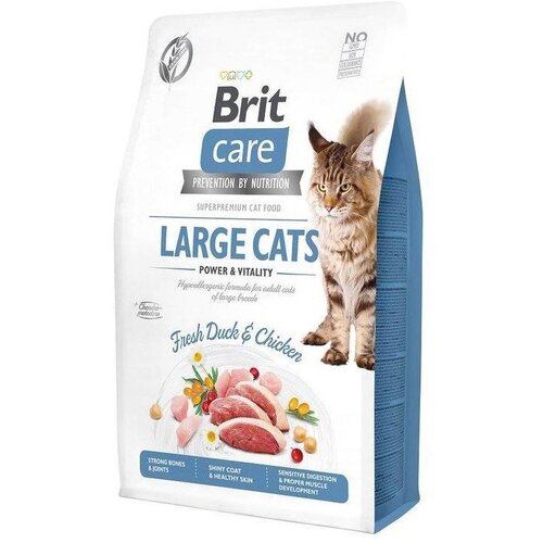 Karma dla kota BRIT Care Large Cats Power & Vitality Świeża Kaczka i Kurczak 7 kg