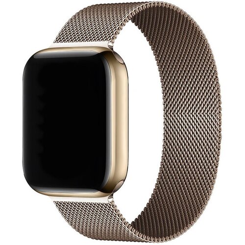 Pasek LUNA do Apple Watch (42/44/45/49mm) A00128 Złoty