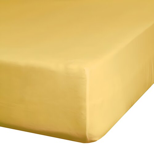 Prześcieradło EUROFIRANY Jersey D91 160 x 200 cm Żółty