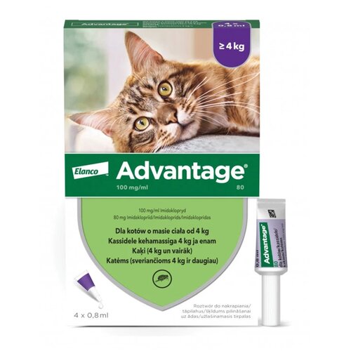 Krople na pchły ELANCO Advantage Duże koty 4 x 0.8 ml