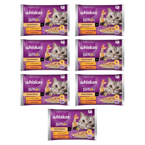 Karma dla kota WHISKAS Tasty Mix Jagnięcina z drobiem (28 x 85 g)