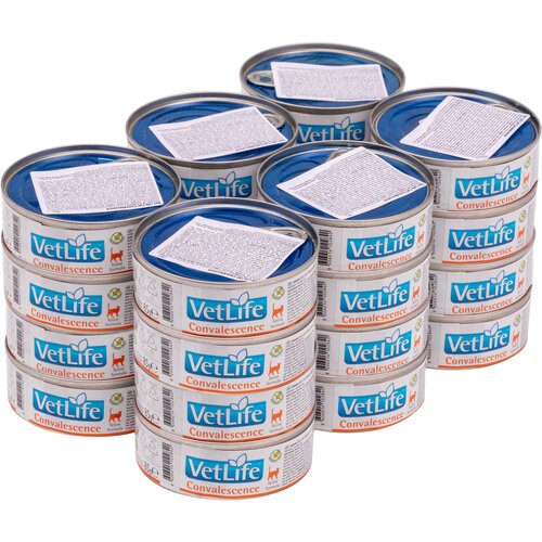 Karma dla kota FARMINA VetLife Convalescence 24 x 85 g
