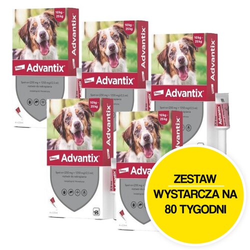 Krople na pchły i kleszcze BAYER Advantix Spot-on Średnie psy (10-25 kg) 20 x 2.5 ml