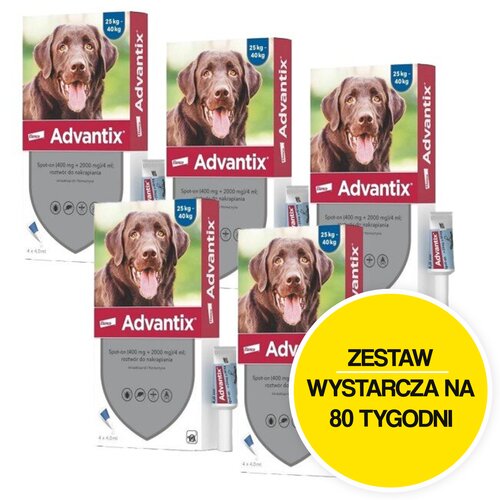 Krople na pchły i kleszcze BAYER Advantix Spot-on Duże psy (25-40 kg) 20 x 4 ml