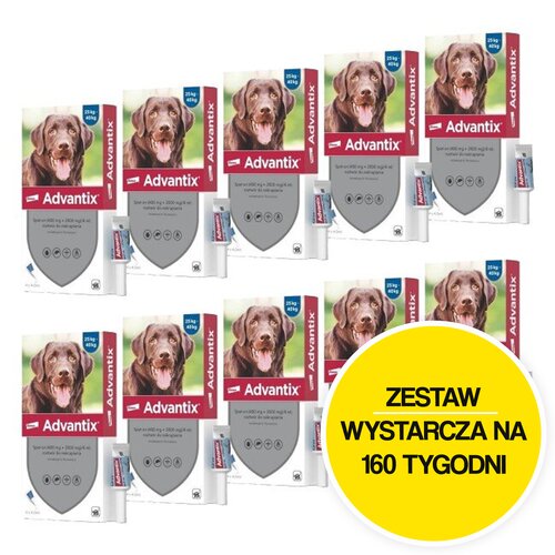 Krople na pchły i kleszcze BAYER Advantix Spot-on Duże psy (25-40 kg) 40 x 4 ml