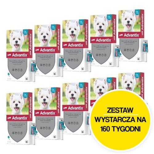 Krople na pchły i kleszcze BAYER Advantix Spot-on Małe psy (4-10 kg) 40 x 1 ml