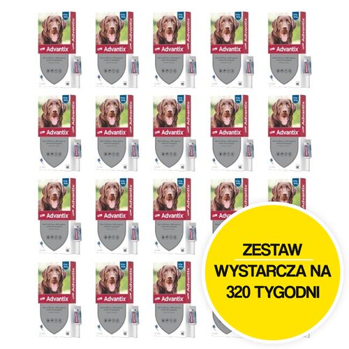 Krople na pchły i kleszcze BAYER Advantix Spot-on Duże psy (25-40 kg) 80 x 4 ml