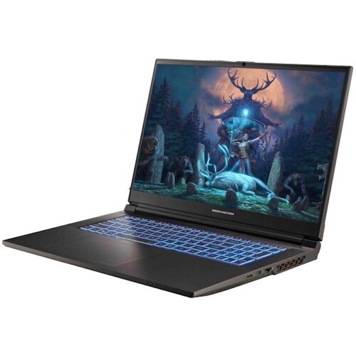 Laptop DREAMMACHINES RG4060-17PL36 17.3" 144Hz i7-14700HX 32GB RAM 1TB SSD GeForce RTX4060