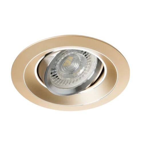 Oprawa sufitowa punktowa LIGHTLOGIC LL CILI DTO-G 30541
