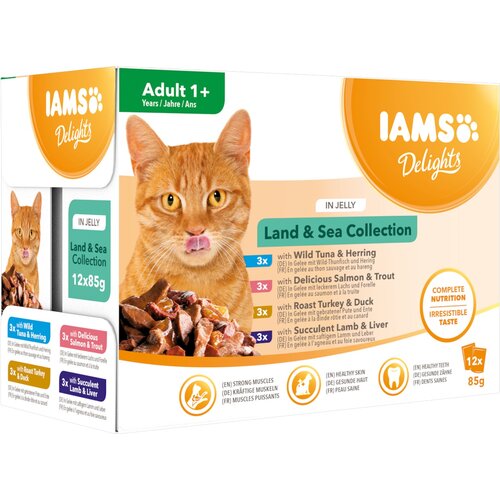 Karma dla kota IAMS Delights Land & Sea w galarecie (12 x 85 g)