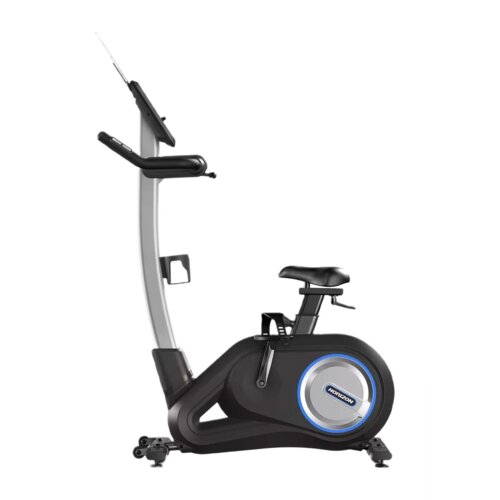 Na zdjęciu znajduje się rower elektromagnetyczny z czarnym siedziskiem i srebrno-czarną ramą. Na obudowie koła widnieje logo "HORIZON".