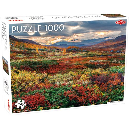 Puzzle TACTIC Lovers Indian Summer in Norrbotten 56681 (1000 elementów)