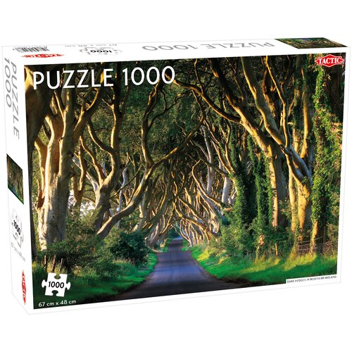 Puzzle TACTIC Lovers Dark Hedges in Northern Ireland 58246 (1000 elementów)