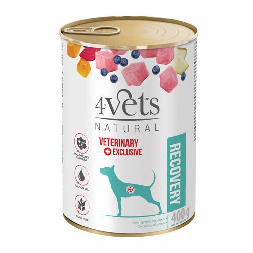 Karma dla psa 4VETS NATURAL Recovery 400 g