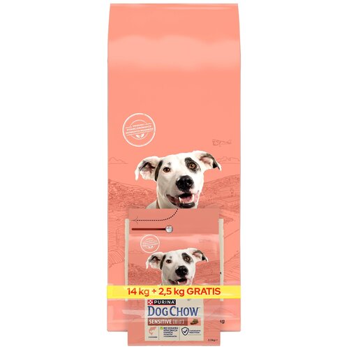 Purina dog chow sensitive cheap