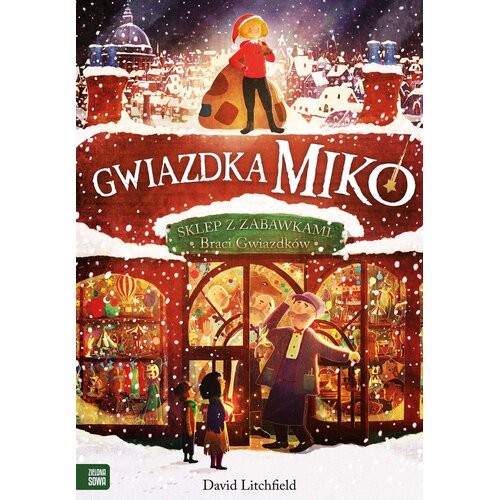 Książka Gwiazdka Miko David Litchfield (twarda okładka)
