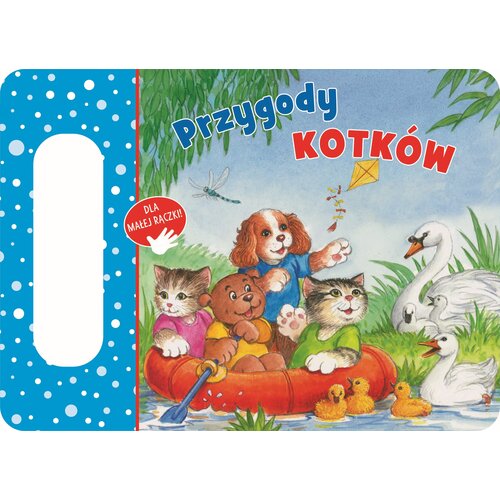Książka Przygody kotków Lawrie Taylor (twarda okładka)