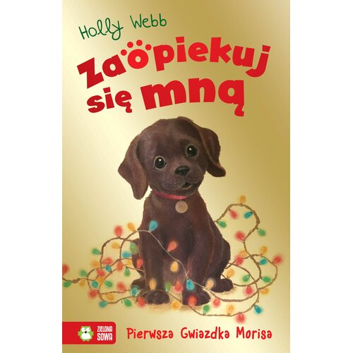 Książka Zaopiekuj się mną Pierwsza Gwiazdka Morisa Holly Webb (miękka okładka)