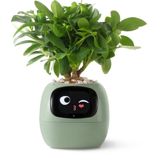 Doniczka inteligentna PLANTSIO IVY Wi-fi 0.122L Zielony