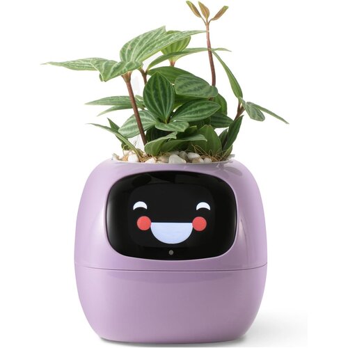 Doniczka inteligentna PLANTSIO IVY Wi-fi 0.122 L Fioletowy