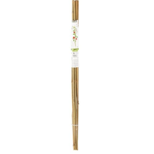 Podpora PROGARDEN Bambus (60 cm)